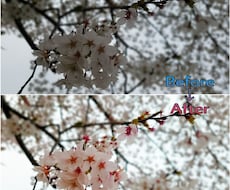 写真・画像の加工や補正を行います イメージ1