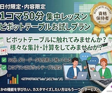 1コマ50分♪ピボットテーブルレッスンを開講します ピボットテーブルに触れてみたい！使いこなしたい！かたへ