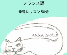 フランス語 50分  発音矯正レッスンします 通じる発音をわかりやすく説明します