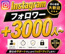 Instagramフォロワー＋3000人増やします 振り分け可能/ゆっくり増加可能/減少保証付き