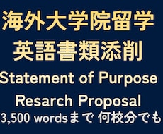 海外大学院留学に向けた英語書類を添削します イメージ1