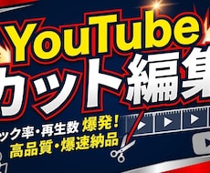 最安！丁寧・迅速にカット編集！不要部分を削除します イメージ1