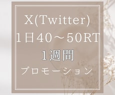 X(Twitter)を1週間プロモーションします X/Twitter/計7ツイート/40〜50RT・いいね