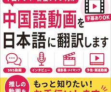 中国ドラマ・俳優の中国語動画を日本語に翻訳します イメージ1