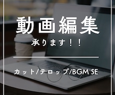 動画編集承ります ご納得いただけるまで何度でも修正いたします！