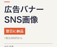 広告バナーやSNS画像を翌日に納品しますます イメージ1
