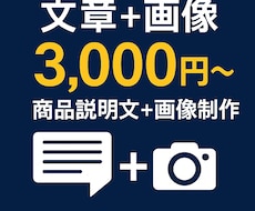 商品説明文と画像を作成します 売れる文章と画像で差をつけます