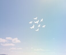 心と魂の浄化あなたの輝きを守ります 生きづらさや不安から解放され、自分らしい人生を創ります