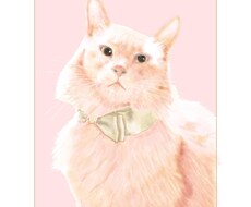 写真から大切なネコちゃんの思い出イラスト作成します イメージ1