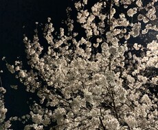 話を聞きます イメージ1