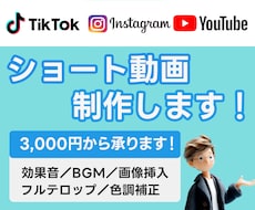 各動画サイト用のショート動画を編集します 各動画サイトに投稿したいショート動画を編集します！