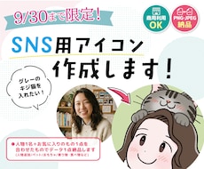 9/30まで限定！SNS用アイコン描きます イメージ1