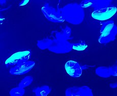 悩みを抱えている方の相談にのります イメージ1