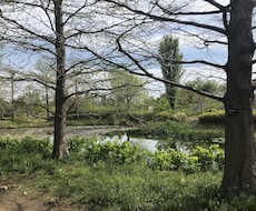 小学生から高校生までをオンラインで英語指導します イメージ1