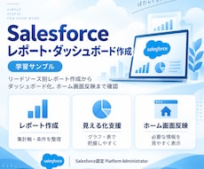 Salesforceレポート作成します イメージ1