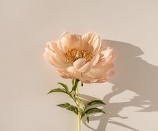 優しく30分あなたの気持ちに寄り添います イメージ1