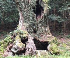 摂食障害の悩みをお聞きいたします 拒食症、過食症などの摂食障害で悩まれている方達へ