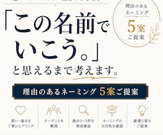 理由まで分かるネーミングを5案提案します 「この名前でいこう」と決められるまで考えます