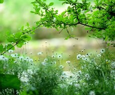 心の悩みにお答えします イメージ1