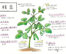 植物のイラストお描きします イメージ1