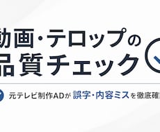 元テレビ制作スタッフが動画の品質チェックをします イメージ1