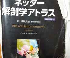 解剖学の勉強教えます 解剖学をしっかりわかりやすく説明します