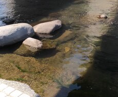 うつ病の方、愚痴や悩みを抱えてる方お話聞きます イメージ1