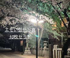 エモい自然風景写真10枚提供します