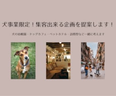 犬事業限定！集客出来る企画をコンサルティングします イメージ1