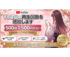 YouTube再生回数増加します まとめるほどお得！500〜10,000回対応・振り分けOK