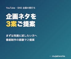 YouTubeやSNSの企画ネタを3案ご提案します イメージ1