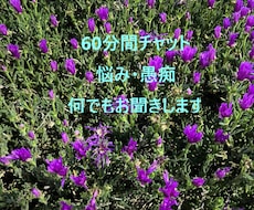 60分チャット：悩み・愚痴なんでもお聞きします 電話よりチャットの方が話しやすい方へ