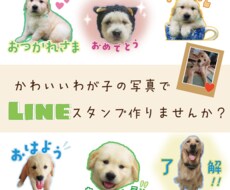 写真をかわいいLINEスタンプにします イメージ1