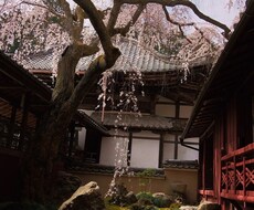 京都旅行のプランを考えます イメージ1