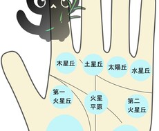 鑑定後（納品後）の追加カラーリングを致します 鑑定終了後にカラーリングによる色付けを行いたい方限定。