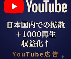 国内視聴者へYouTube動画拡散します イメージ1