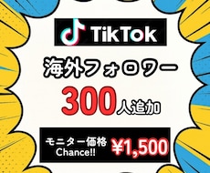 TikTokにフォロワー300人を拡散します ★初回購入特典付き／少数も可能／最速納品★