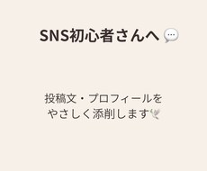 SNS初心者さん向け投稿文やプロフ優しく添削します イメージ1