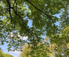 あなたの夢をお聞きします イメージ1