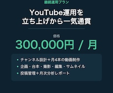 YouTubeチャンネル運用を一気通貫で代行します イメージ1