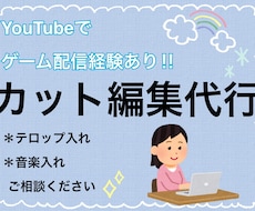 YouTubeで動画配信経験あり！動画編集やります イメージ1