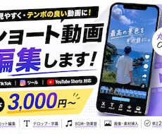 ショート動画を最後まで見たくなる動画に編集します イメージ1