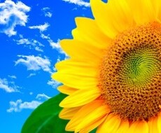 育児に疲れた方の心に寄り添います イメージ1