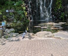 色々な相談のります イメージ1