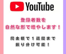 Youtubeの登録者数を自然な形で増加させます 日本人150人/1,500円～　収益化まで徹底サポート！