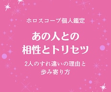 あの人との相性とトリセツをホロスコープで読みます イメージ1