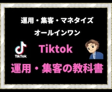 最新のtiktok　オールインワン全て教えます tiktok　運用・集客・マネタイズ・分析丸ごと全部教えます
