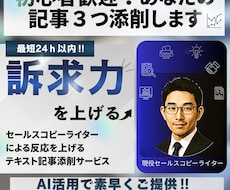 初心者歓迎！あなたのテキスト記事3つ添削します イメージ1