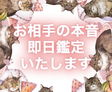 お相手の気持ち・相性・未来鑑定いたします イメージ1