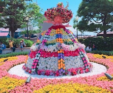 ディズニーシーのオススメ！教えます イメージ1